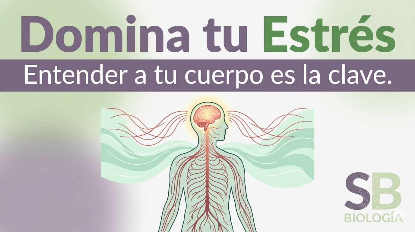 Domina tu estrés – Entender tu cuerpo es la clave